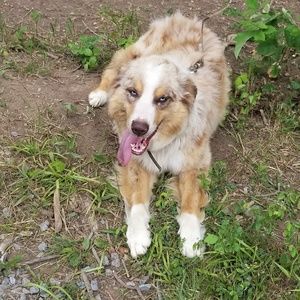 Meet your Posher, Jessie